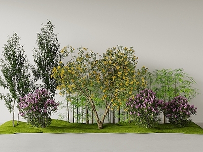 现代主义景观植物堆 庭院绿植 景观乔木灌木 草坪 竹子 植物堆