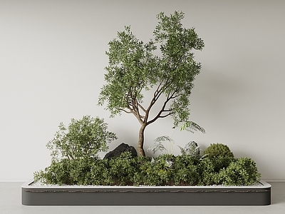 新中式景观花池 植物组合 植物堆 庭院景观 花池绿植