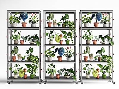 现代简约植物组合 盆栽 绿植盆栽 植物盆栽 桌面盆栽 小盆栽