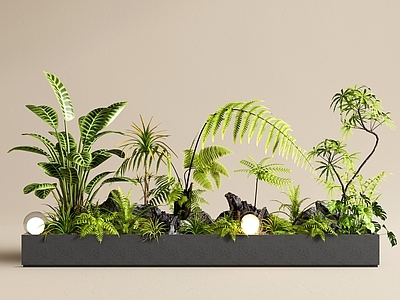 现代极简植物组合 外摆花箱 户外花箱 植物盆栽 室内景观 景观造景