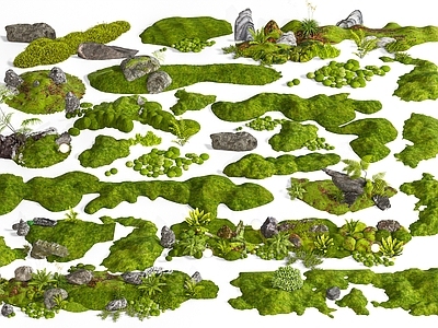 苔藓微景观微地形 枯山水景观 庭院景观 景观造景 苔藓微地形 庭院