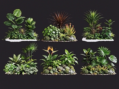 热带景观花境 2D室内植物组团 热带植物组团 花卉花镜 花草植物组合 花草花丛