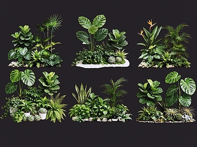 现代自然风花境 2D室内植物组团 热带植物组团 花卉花镜 花草植物组合 花草花丛