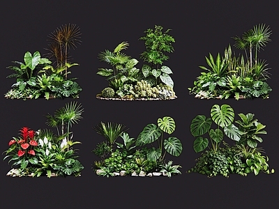 热带植物景观花境 2D室内植物组团 热带植物组团 花卉花镜 花草植物组合 花草花丛