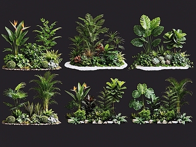 热带景观花境 2D室内植物组团 热带植物组团 花卉花镜 花草植物组合 花草花丛