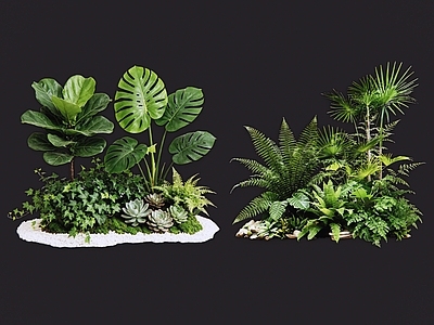 室内微景观花境 2D室内植物组团 热带植物组团 花卉花镜 花草植物组合 花草花丛