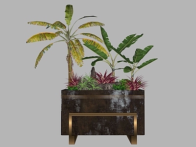 复古奢华植物组合 芭蕉树 植物组合 花坛