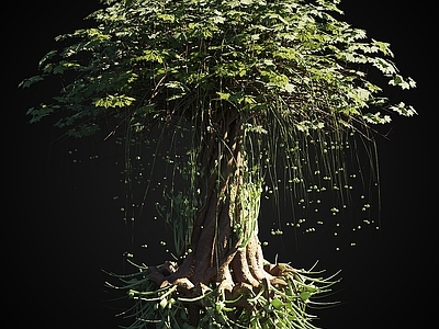 奇幻自然风盆景 AVE魔法树