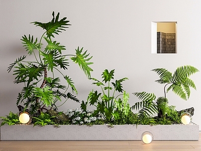 现代简约花箱 外摆花箱 室内景观 植物组合 户外花箱 盆栽