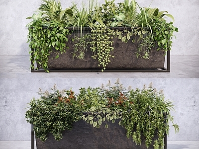 现代简约植物组合 金属植物盆栽盆景 室内绿植景观  灌木花草组合 绿植花卉群组 垂吊悬挂植物