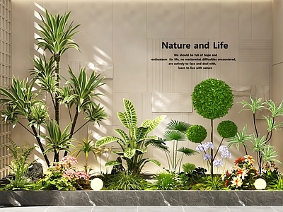 现代简约花境 室内景观  景观树 植物组合   庭院景观 景观造景