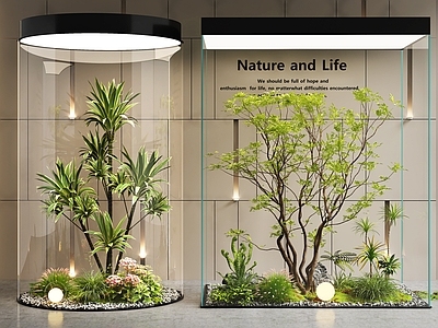现代简约花境 室内景观  景观造景 景观树   植物组合  庭院景观