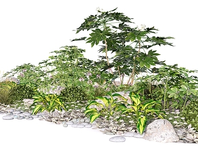 日式枯山水植物组合 灌木花草组合景观 阴生观叶岩石花境 八角金盘观叶草本 鹅掌柴银叶菊  蕨类灌木群组
