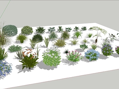 现代主义景观植物组合 茅草类 花草类 植物组合 3d 蕨类