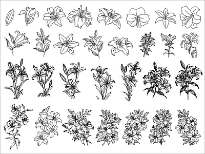花 百合花图块