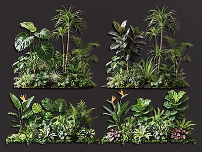 热带植物景观花境 2D室内植物组团 热带植物组团 花卉花镜 花草植物组合 花草花丛