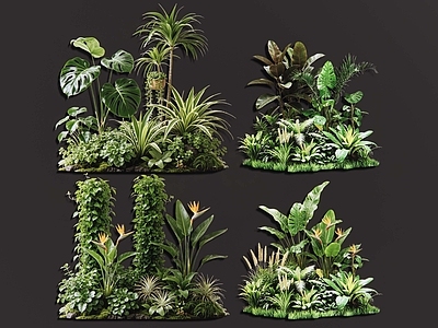 热带植物景观花境 2D室内植物组团 热带植物组团 花卉花镜 花草植物组合 花草花丛