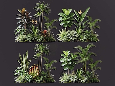 热带雨林风花境 2D室内植物组团 热带植物组团 花卉花镜 花草植物组合 花草花丛