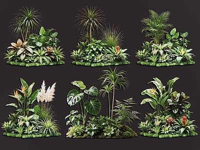 热带植物景观花境 2D室内植物组团 热带植物组团 花卉花镜 花草植物组合 花草花丛