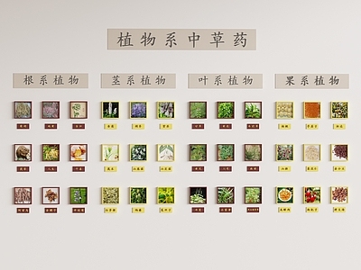 新中式文化墙 中草药展示墙 中草药科普墙
