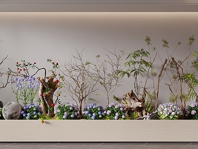 新中式花境 花池 花箱 枯木绿植 植物造景 植物堆