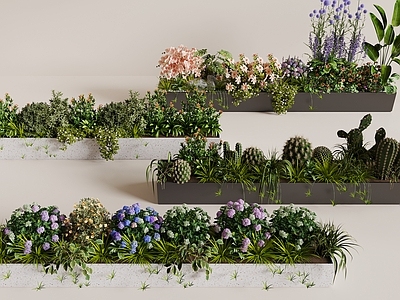 现代简约花境 花池 花箱 植物造景 植物堆 植物景观