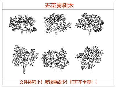 绿植 无花果树木 无花果