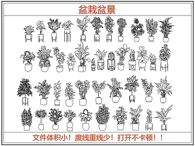 绿植 盆栽 盆景 绿植
