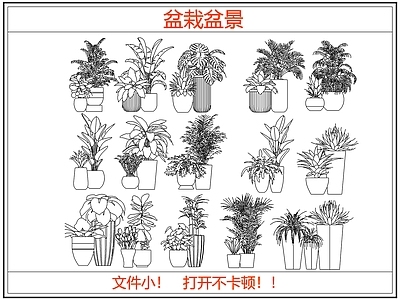 绿植 绿植盆栽盆景 盆栽 盆景