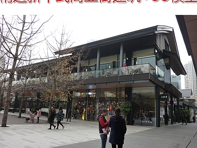 商业街 新中式商业建筑 新中式建筑模型 现状玻璃幕墙商业