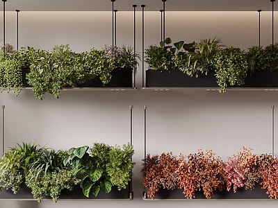 现代简约垂直绿化 吊篮绿植 植物吊饰 植物吊灯 植物堆 绿植吊饰