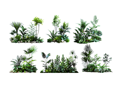 热带丛林景观植物堆
