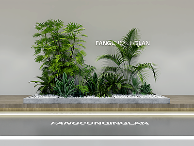 现代简约植物组合