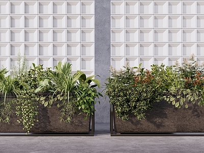 现代简约植物组合 室内植物盆栽组合 庭院景观植物 花卉花箱花钵 绿植盆栽盆景