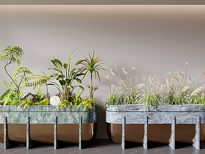 现代轻奢花箱 花箱 花池 植物堆 植物造景