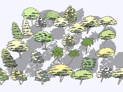 扁平插画风乔木 现代2D抽象乔木