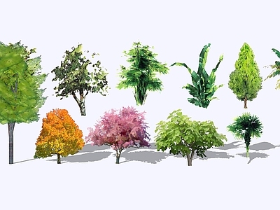 手绘风植物组合 现代2D手绘乔木