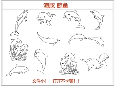 动物 海豚 鲸鱼
