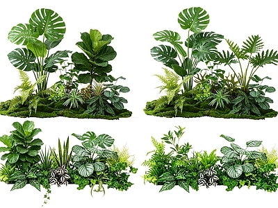 热带绿植风花境 2D室内植物组团 热带植物组团 花卉花镜 花草植物组合 花草花丛