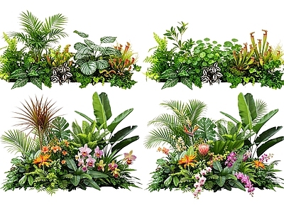 热带植物景观花境 2D室内植物组团 热带植物组团 花卉花镜 花草植物组合 花草花丛