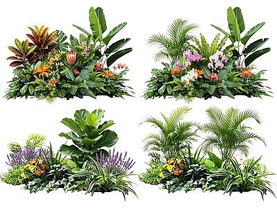 热带植物景观花境 2D室内植物组团 热带植物组团 花卉花镜 花草植物组合 花草花丛