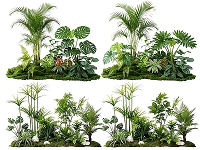 热带植物景观花境 2D室内植物组团 热带植物组团 花卉花镜 花草植物组合 花草花丛