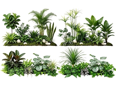热带植物景观花境 2D室内植物组团 热带植物组团 花卉花镜 花草植物组合 花草花丛