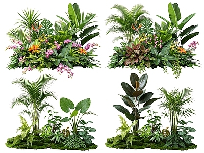 热带植物景观风格花境 2D室内植物组团 热带植物组团 花卉花镜 花草植物组合 花草花丛