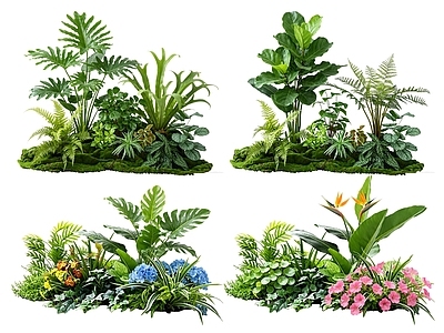 热带植物景观花境 2D室内植物组团 热带植物组团 花卉花镜 花草植物组合 花草花丛