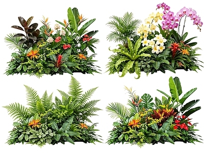 热带植物景观花境 2D室内植物组团 热带植物组团 花卉花镜 花草植物组合 花草花丛