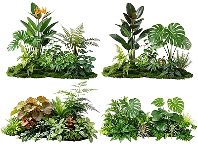 热带雨林风花境 2D室内植物组团 热带植物组团 花卉花镜 花草植物组合 花草花丛