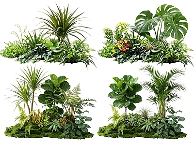 热带植物景观花境 2D室内植物组团 热带植物组团 花卉花镜 花草植物组合 花草花丛