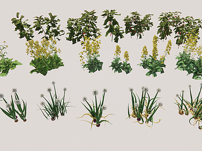 写实风农作物 现代蔬菜植物番茄