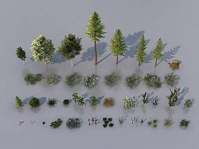 自然主义花草组合 植物组合